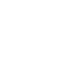 logo eleve